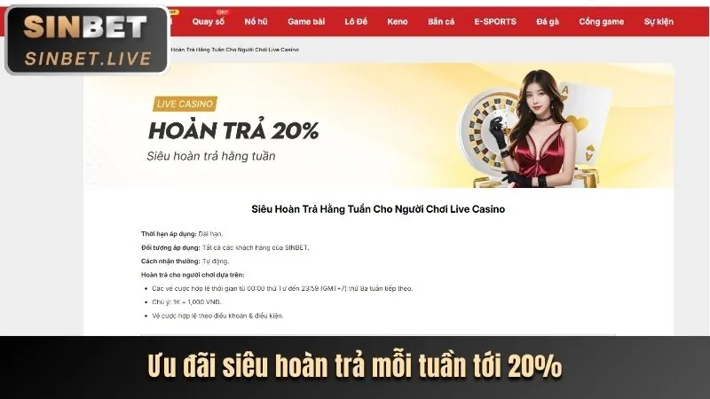 Đội ngũ hỗ trợ khách hàng Sinbet